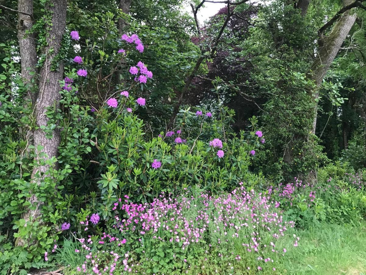 דירות וסטוורד הו Bucklands - Chalet 15 מראה חיצוני תמונה